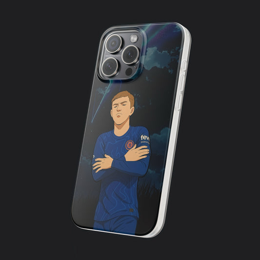 Palmer case